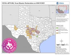 Lia - Resilient Texan Program: Eligible governments