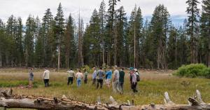 YAM I FRB partners standing and talking on meadow landscape