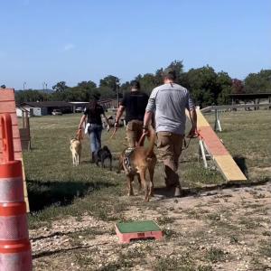 Warriors Heart Virginia recently opened their K9 therapy elective for clients, which is also provided at the Warriors Heart Texas location. Clients can spend quality time with K9s, and/or train a Service Dog or Emotional Support Dog to adopt after treatment.