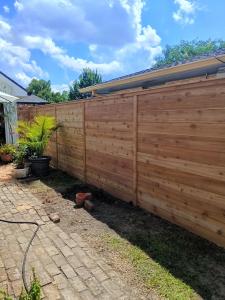 Cedar privacy fence surrounding a backyard, showing one of the top fencing trends for 2025.