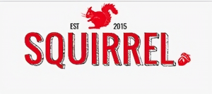 Squirrel A Store of Buried Treasure