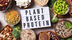 Plant Proteins Market