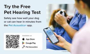 Dwnload on the App Store and Google Play