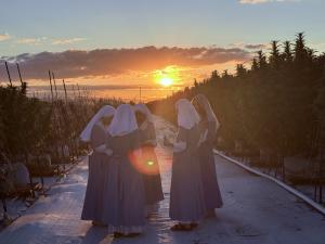the sillouette of four sisters with the setting sun in the background and plants all around