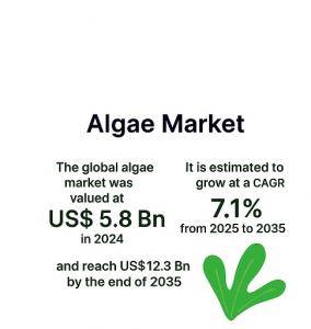 Algae