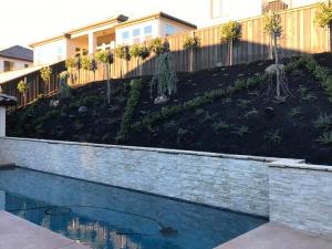 Backyard pool with landscaped hill and retaining wall done by South Canyon Construction
