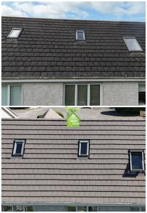 Happy Clean's Roof Cleaning Service [Before and After]