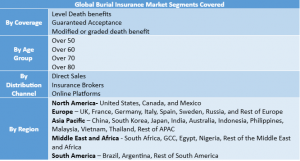 Burial Insurance Market Segment