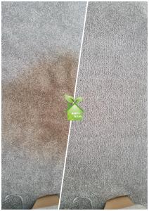 Carpet cleaned and renewed by Happy Clean in Dublin