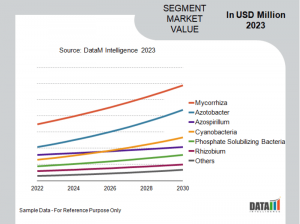 Biofertilizers Market | DataM