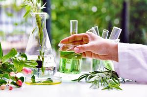 Plant Extracts Market