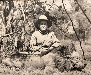 Bill Foster and his Lion Africa 1930's part of The Fosters Big Game Legacy Taxidermy Collection