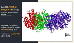 Alcohol Enzymes Industry Analysis