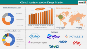 Antimetabolite Drugs Market