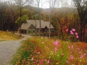 Cosmos flowers blooming in a customer’s garden during fall, with colorful autumn trees in the background, showcasing the seasonal beauty and impact of American Meadows wildflower seeds.