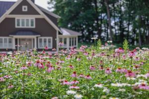Wildflower meadow in bloom at Vermont home of American Meadows customer John D., featuring the Perennial Beauty Mix and illustrating the benefits of meadowscaping for reduced lawn maintenance and increased seasonal color.