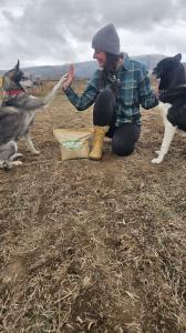 Abby kneels in a fall field with her two dogs giving high-fives, surrounded by mountains and cloudy skies. A bag of American Meadows’ Fall Max Mix sits nearby, symbolizing the anticipation of spring wildflowers and the joy of gardening with pets.