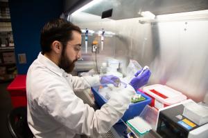 A researcher at Allen Institute, works with immunology research samples under the hood in the laboratory.