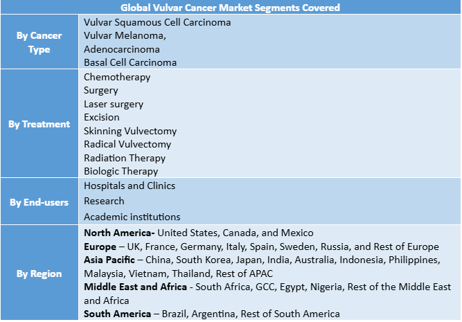 Vulvar Cancer Market Segment