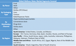 Wellness Water Market Segment