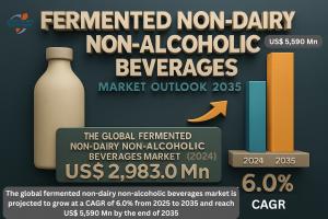 The global fermented non-dairy non-alcoholic beverages market is projected to grow at a CAGR of 6.0% from 2025 to 2035 and reach US$ 5,590 Mn by the end of 2035
