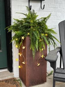 Fern lighting on a house porch provides year round use of ring tree lights