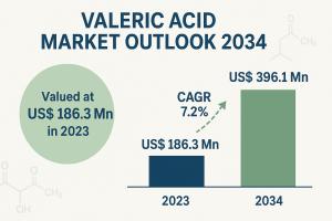 valeric acid market