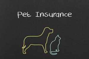 Pet Insurance Market | DataM Intelligence