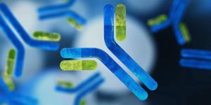 Next Generation Antibody Therapeutics Market