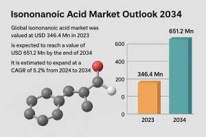 Isononanoic Acid Industry