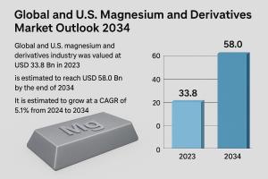 Magnesium and Derivatives industry