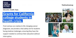 image of the home page of The Orion Fund