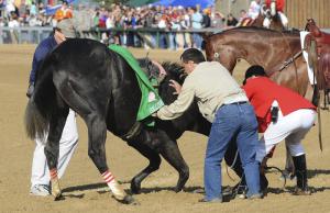 Eight Belles was euthanized after breaking both front ankles in the 2008 Kentucky Derby at Churchill Downs