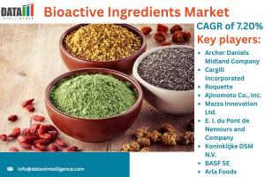 Bioactive Ingredients Market