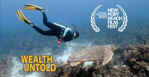 Underwater view of diver swimming along a turtle above a coral reef in pristine blue water.