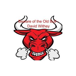 Beware of the Old Bull - David Withey