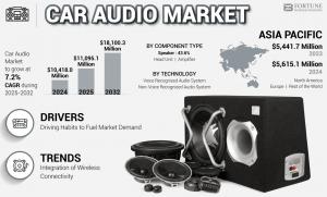 Car Audio Market Insights