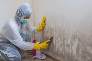 home-inspections in-Annapolis