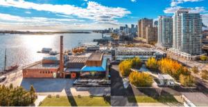 A wide view of Harbourfront Centre on Toronto’s waterfront, with cultural buildings, tree-lined walkways, and Lake Ontario in the background.