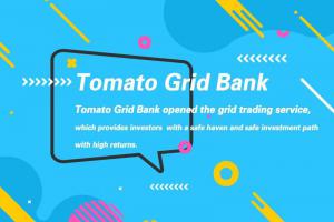 Tomato grid bank1
