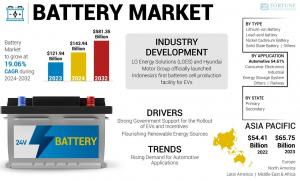 Battery Market Share