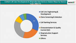 Cell Line Development & Bioproduction Services Market, by Service