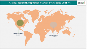 Neurotherapeutics Market, by Region