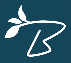 Bold Branch Collective logo
