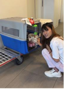 Vivi Zhou with one of the rescue dogs at the ARK at JFK (Image credit: Tess Pintchik)