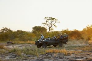 Cheetah Plains Family Safari Driver Scene