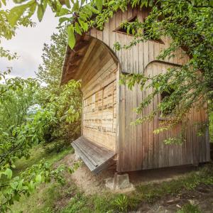 backyard wooden storage sheds