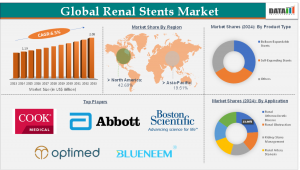 Renal Stents Market