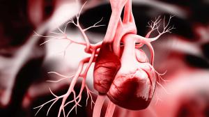 Coronary Artery Disease Treatment Devices Market
