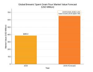 Brewers' Spent Grain Flour Market size